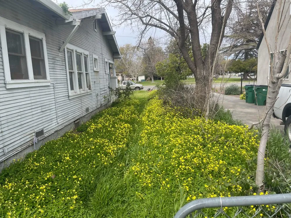 Top-rated lawn care service in Red Bluff, CA - Vierras Handyman Services