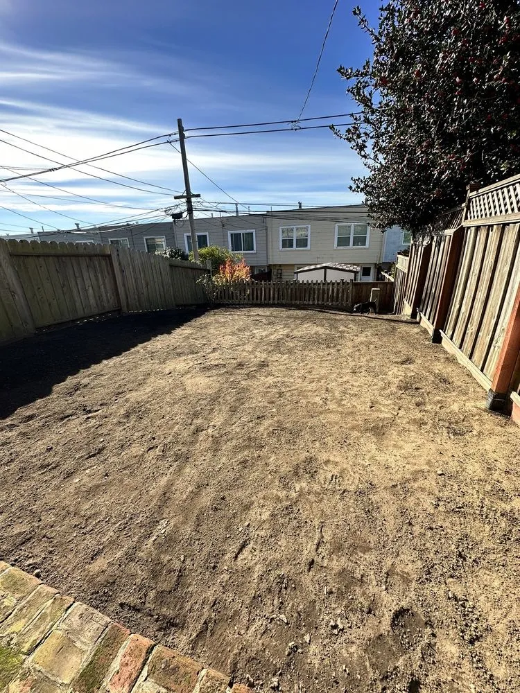 Professional landscaping services in San Francisco, CA - Viet's Landscaping