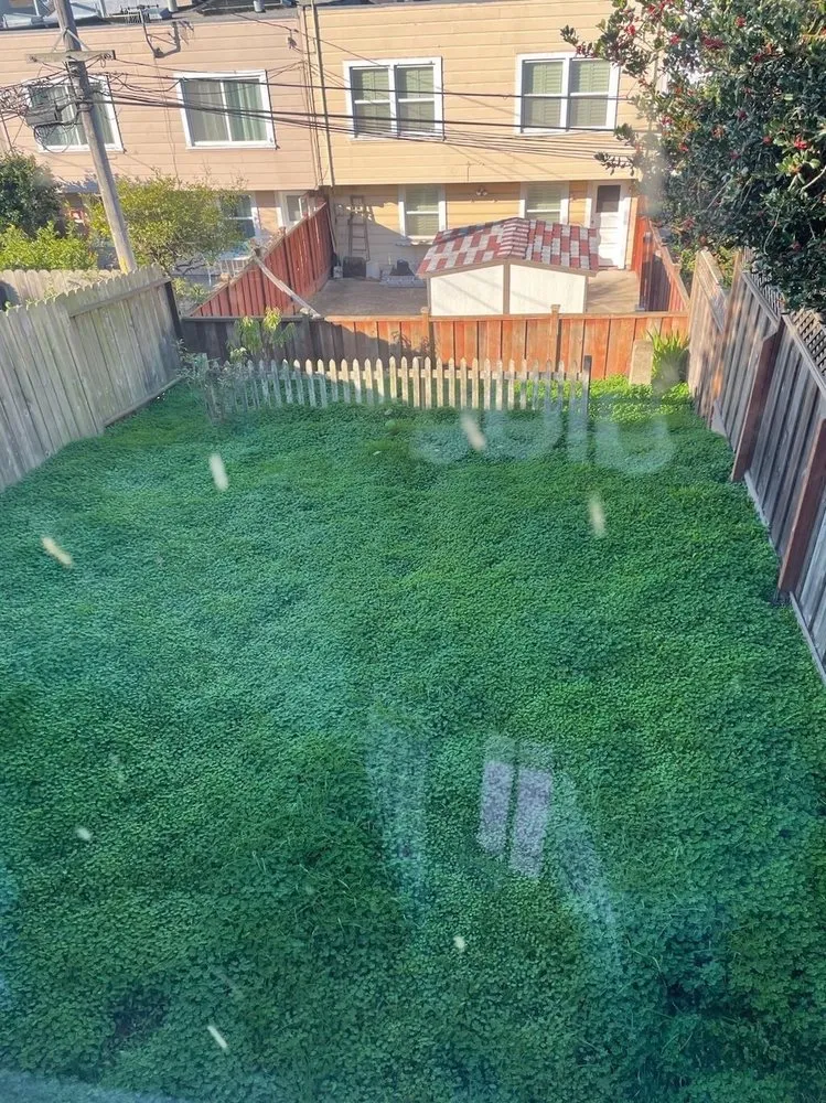 Local landscape design in San Francisco, CA - Viet's Landscaping