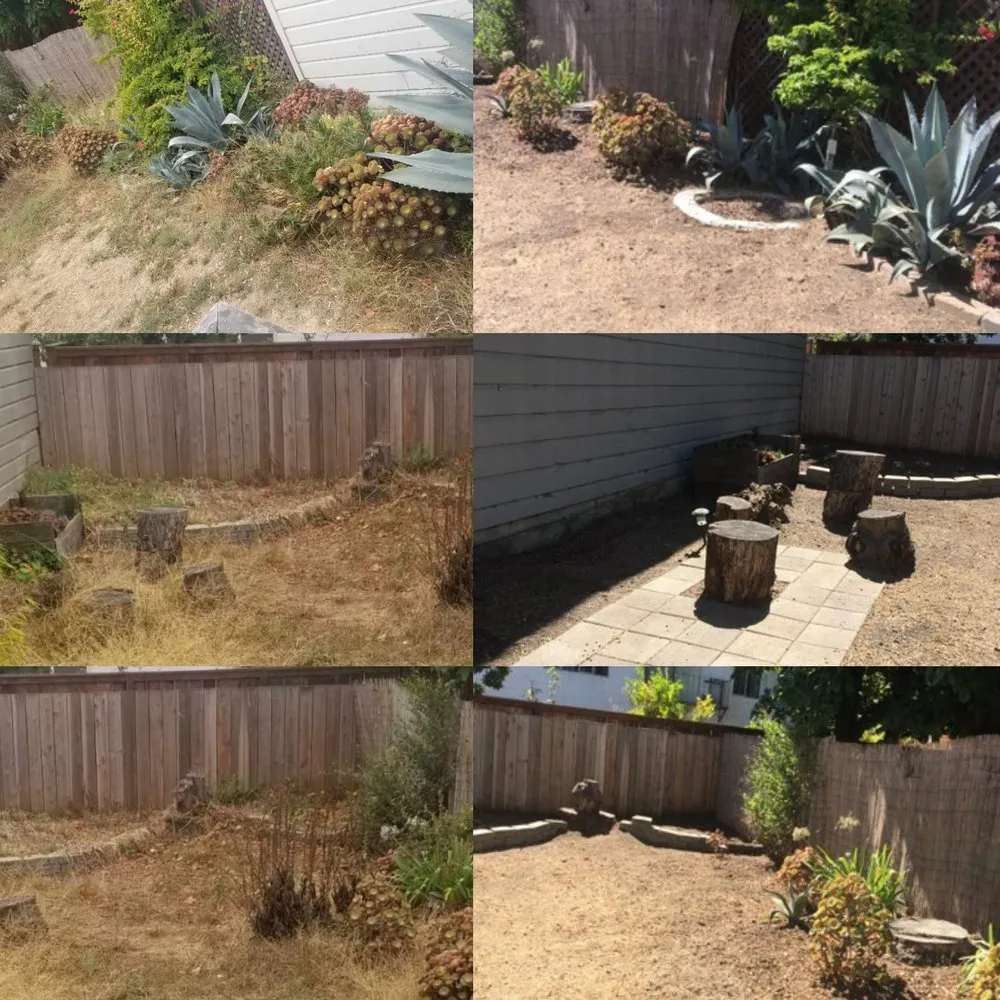 Top-rated landscape design in San Francisco, CA - Viet's Landscaping