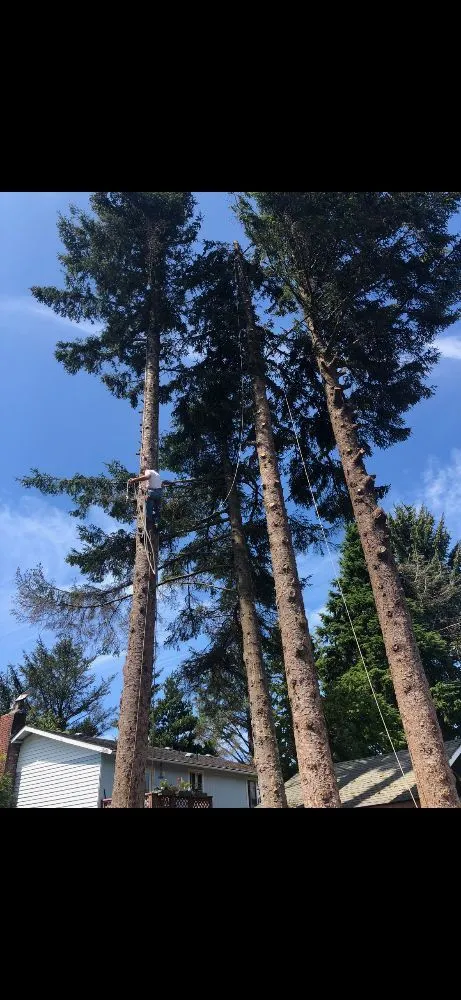 Local garden landscaping in Newport, OR by View Finders Tree Service