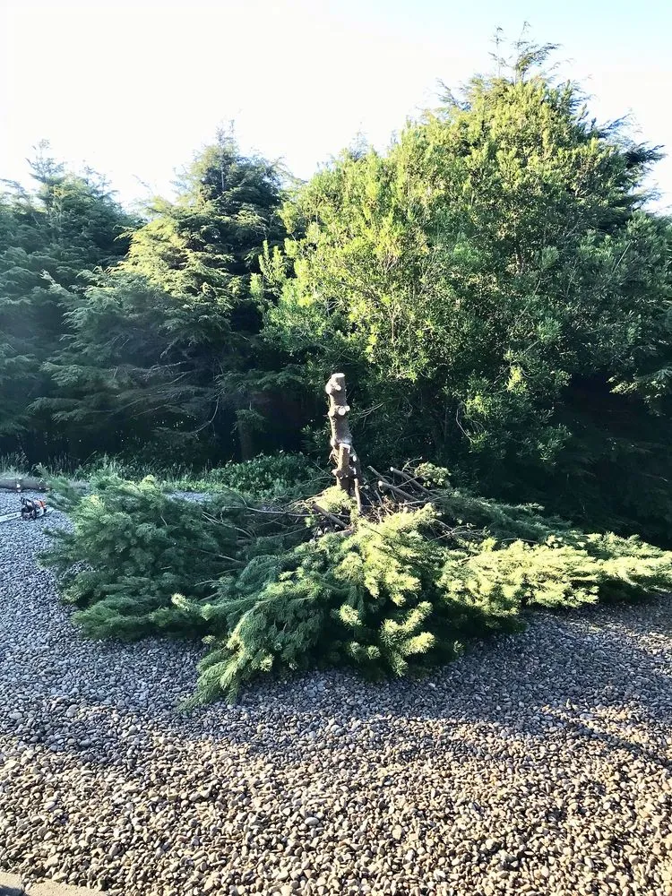 Custom outdoor landscaping for outdoor upgrades across Newport, OR - View Finders Tree Service