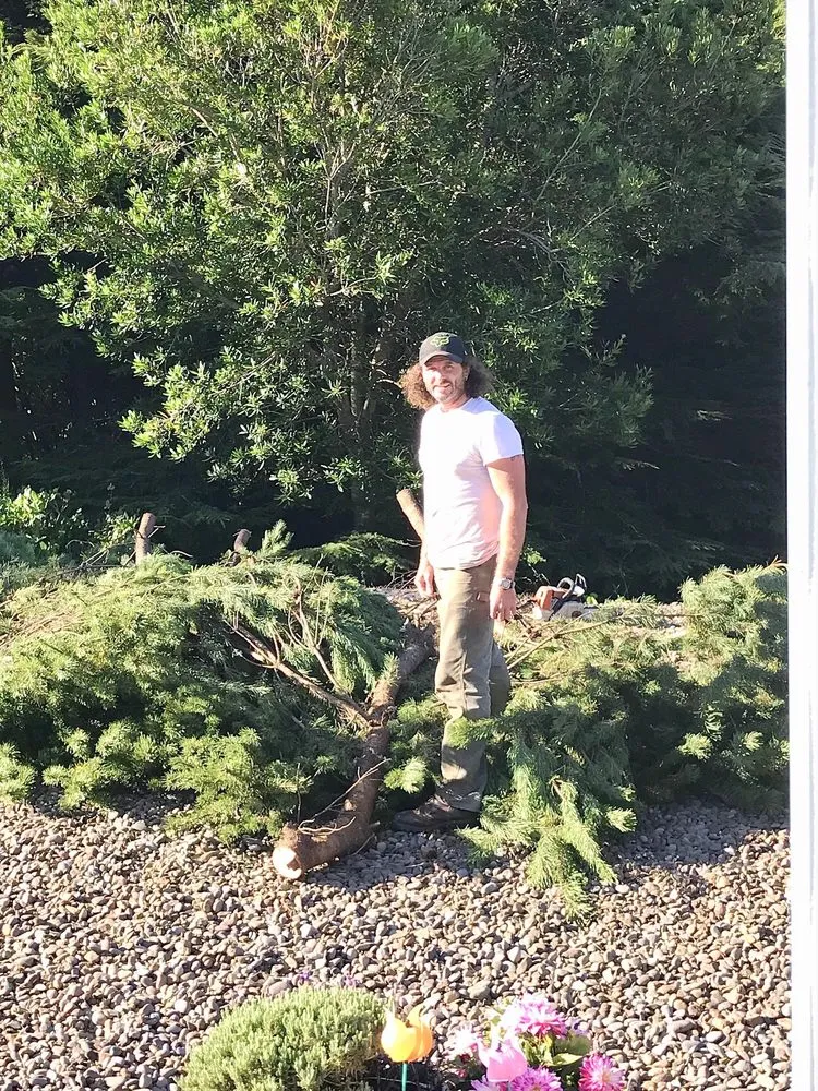 Trusted yard cleanup service for beautiful yards across Newport, OR - View Finders Tree Service