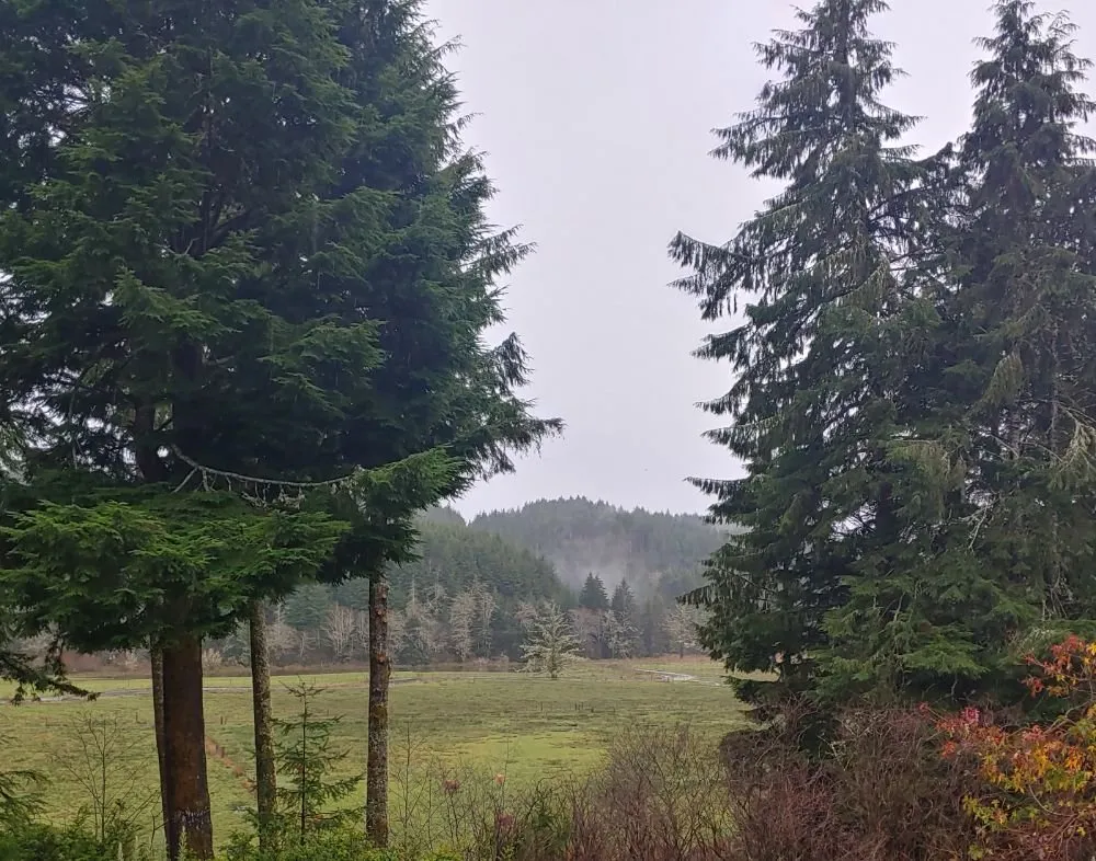 Expert lawn mowing service experts serving Newport, OR - View Finders Tree Service