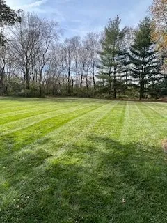 Professional landscape design in Terre Haute, IN - View Point Lawn Care & Snow Removal