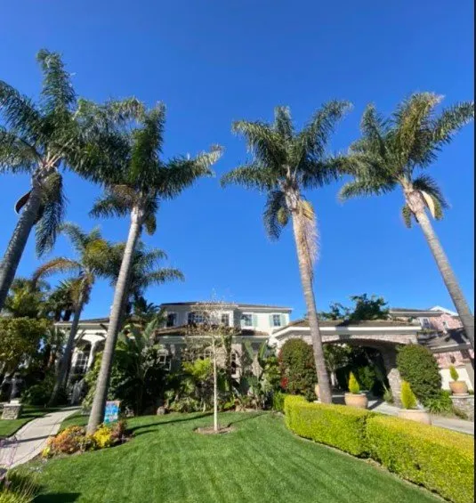 Local residential landscaping in Hawaiian Gardens, CA by View Quality Landscaping