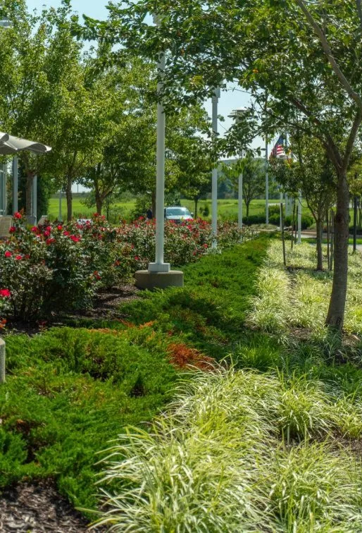 Expert garden landscaping in Hawaiian Gardens, CA by View Quality Landscaping