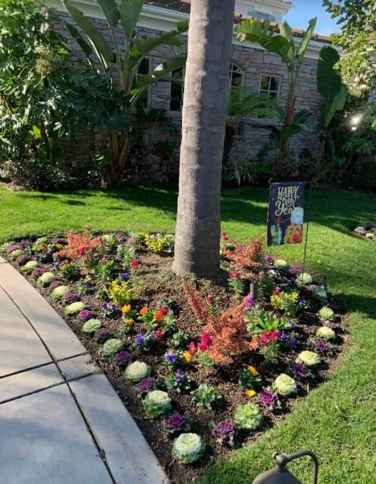 Affordable outdoor landscaping experts serving Hawaiian Gardens, CA - View Quality Landscaping