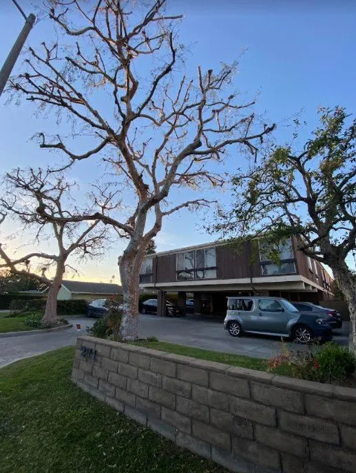 Reliable outdoor landscaping near you across Hawaiian Gardens, CA - View Quality Landscaping