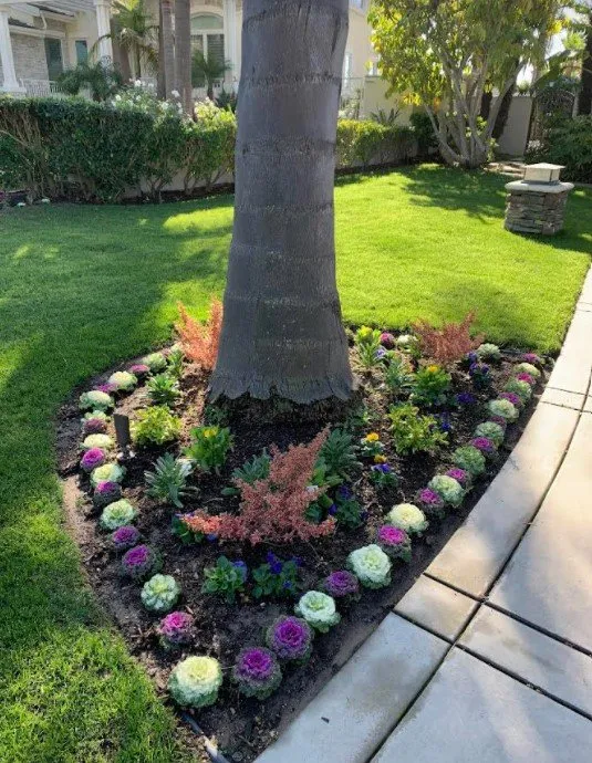 Trusted residential landscaping experts serving Hawaiian Gardens, CA - View Quality Landscaping
