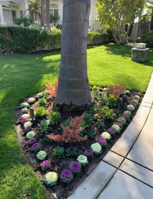 Reliable residential landscaping for homes in Hawaiian Gardens, CA by View Quality Landscaping