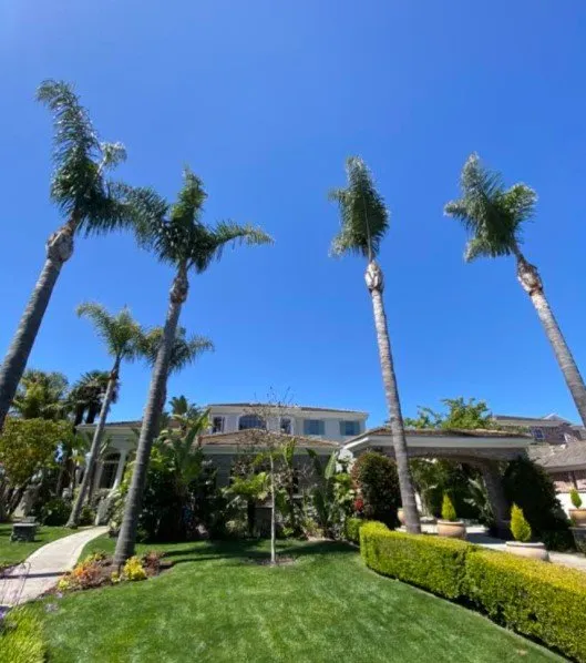 Expert yard maintenance in Hawaiian Gardens, CA - View Quality Landscaping