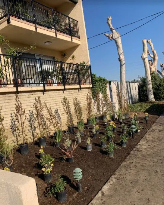 Custom garden landscaping in Hawaiian Gardens, CA - View Quality Landscaping