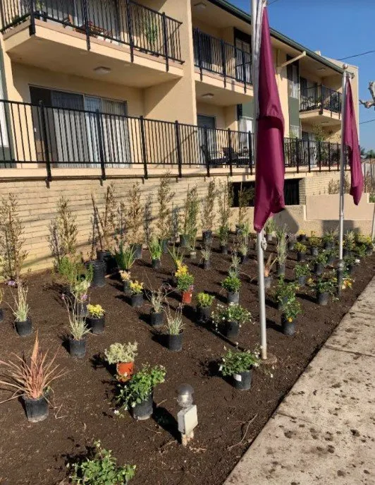 Expert residential landscaping experts serving Hawaiian Gardens, CA - View Quality Landscaping