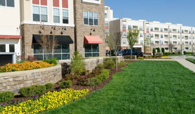 Custom lawn care service in Hawaiian Gardens, CA - View Quality Landscaping