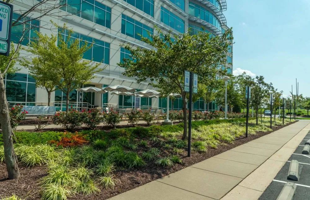 Expert landscape design in Hawaiian Gardens, CA - View Quality Landscaping