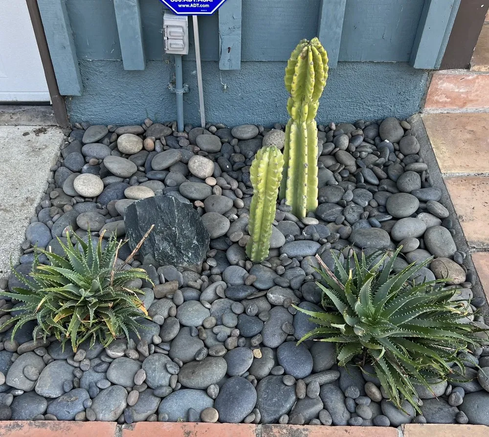 Expert yard cleanup service with custom design in Los Angeles, CA by View Scape Design