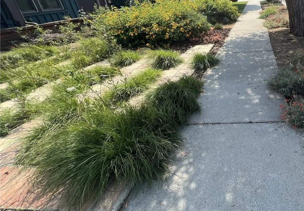 Professional lawn mowing service in Los Angeles, CA - View Scape Design