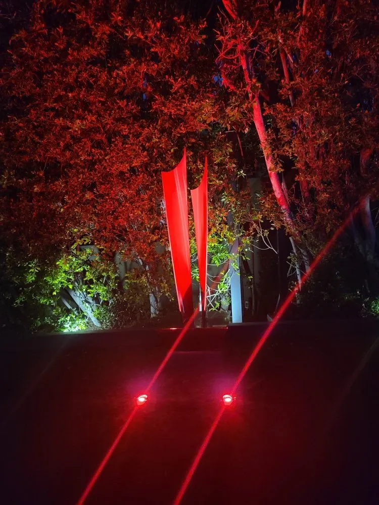 Professional yard cleanup service for year-round maintenance across Los Angeles, CA - View Scape Design