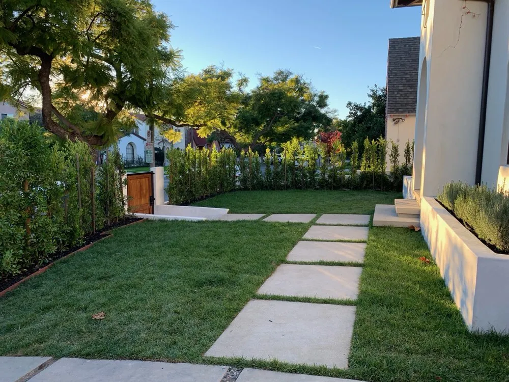 Reliable yard cleanup service in Los Angeles, CA - View Scape Design