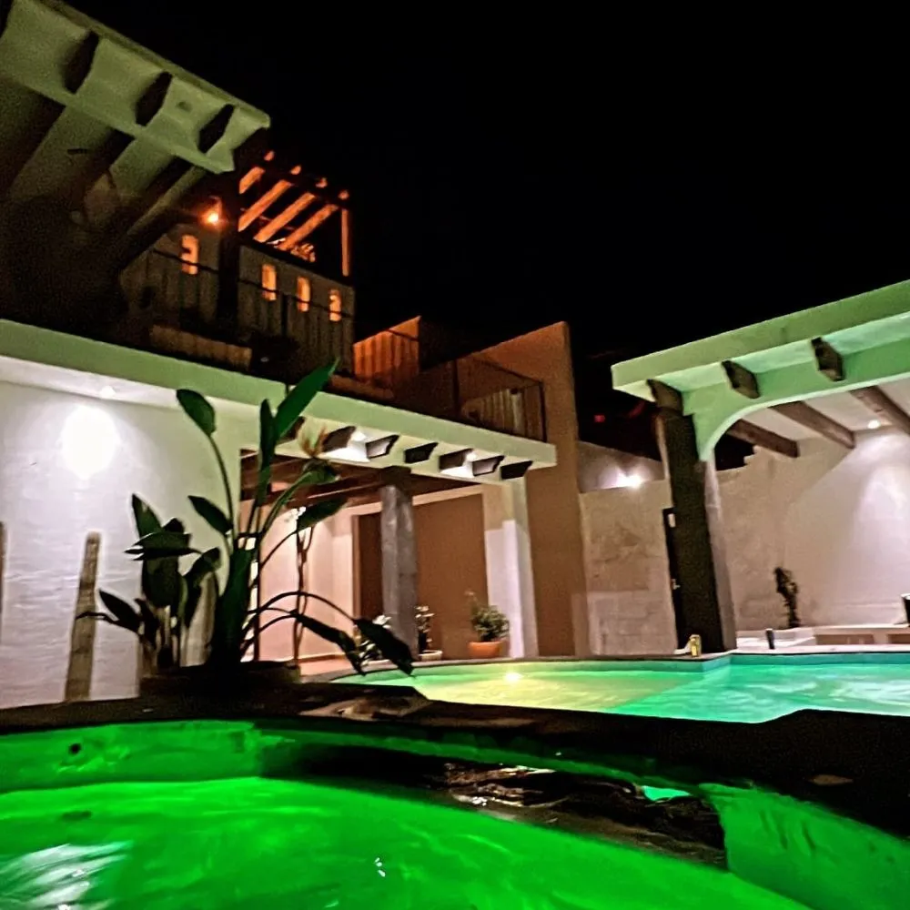 Custom yard cleanup service experts serving Los Angeles, CA - View Scape Design