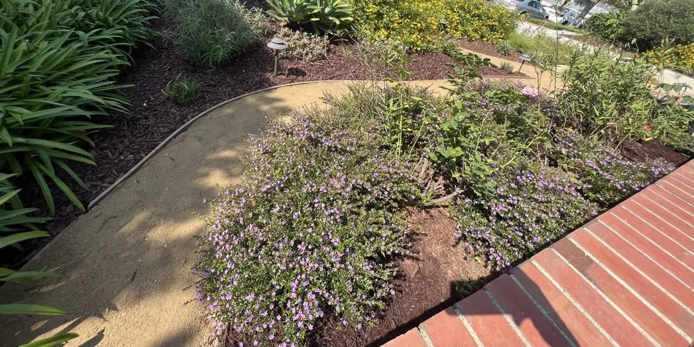 Professional landscaping services in Los Angeles, CA - View Scape Design