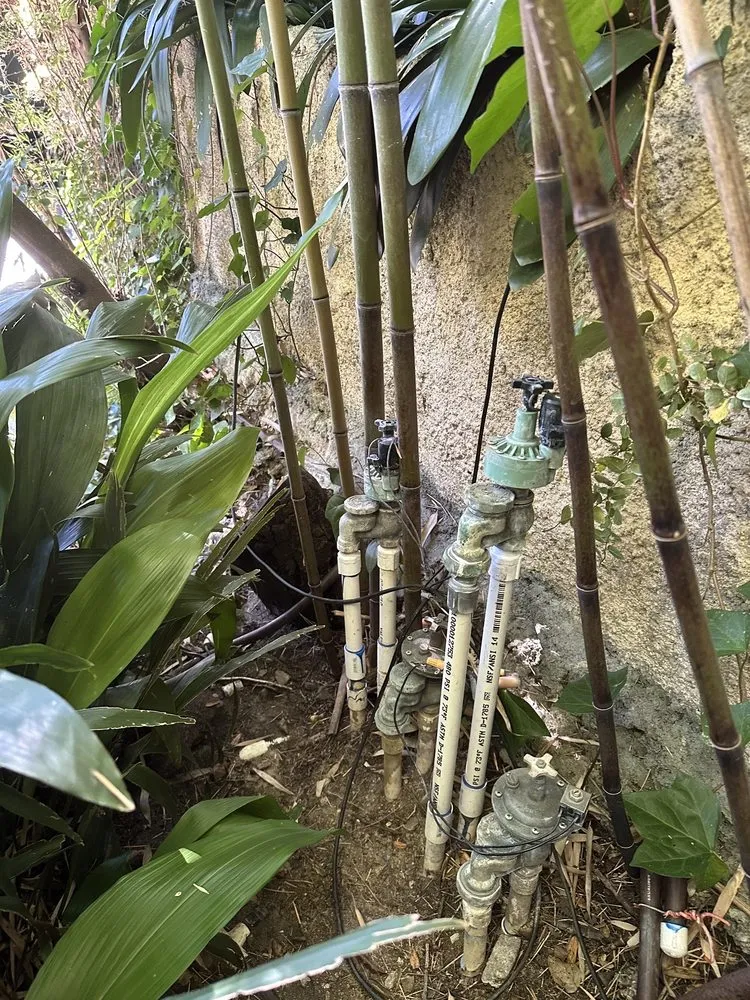 Top-rated residential landscaping in Los Angeles, CA - View Scape Design