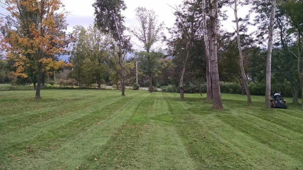 Reliable landscape design in Danby, VT by Viewmont Property Service