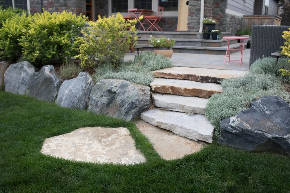 Expert yard maintenance near you across Littleton, CO - Viewpoint Design Group