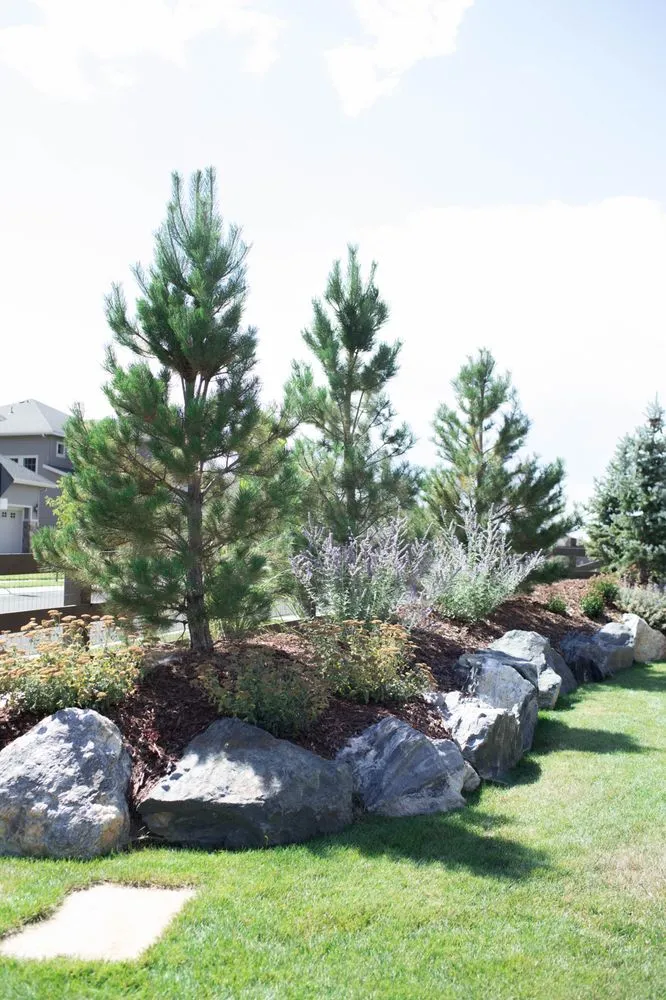 Reliable residential landscaping with custom design in Littleton, CO by Viewpoint Design Group