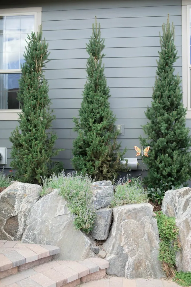 Expert lawn care service in Littleton, CO by Viewpoint Design Group