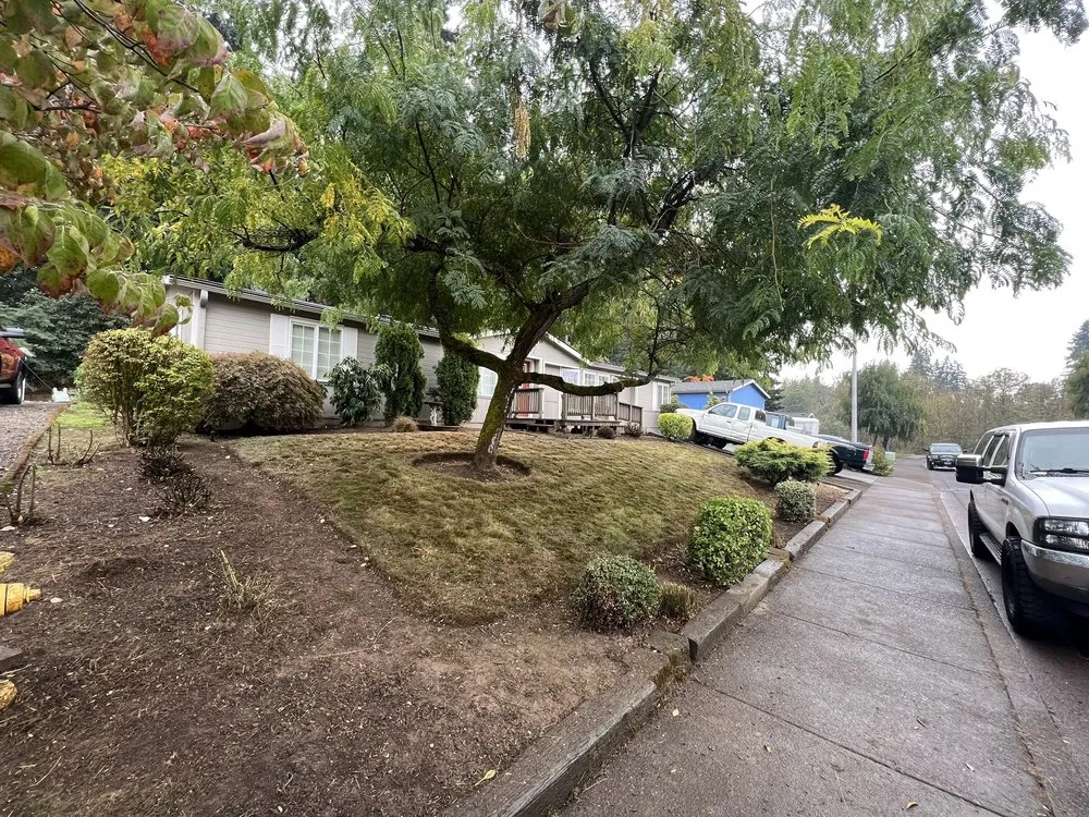 Reliable residential landscaping in Woodburn, OR - Viewpoint Landscape