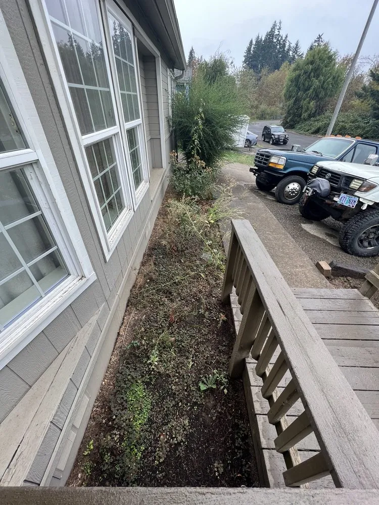 Local yard cleanup service in Woodburn, OR by Viewpoint Landscape