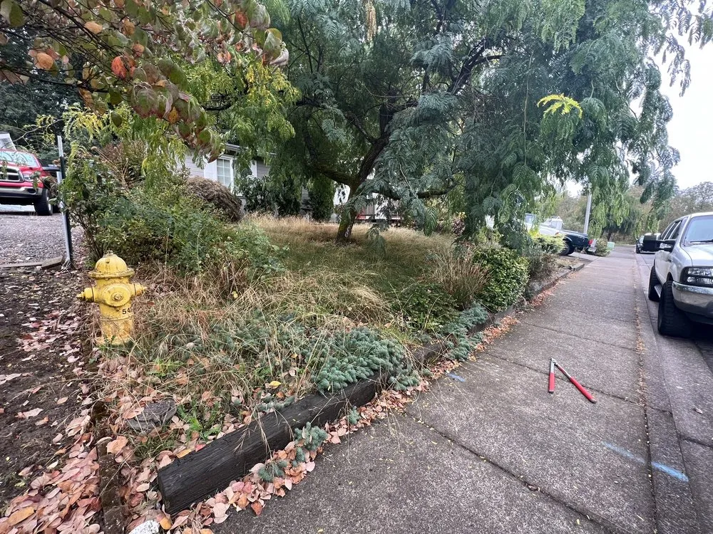 Top-rated yard maintenance for year-round maintenance in Woodburn, OR by Viewpoint Landscape