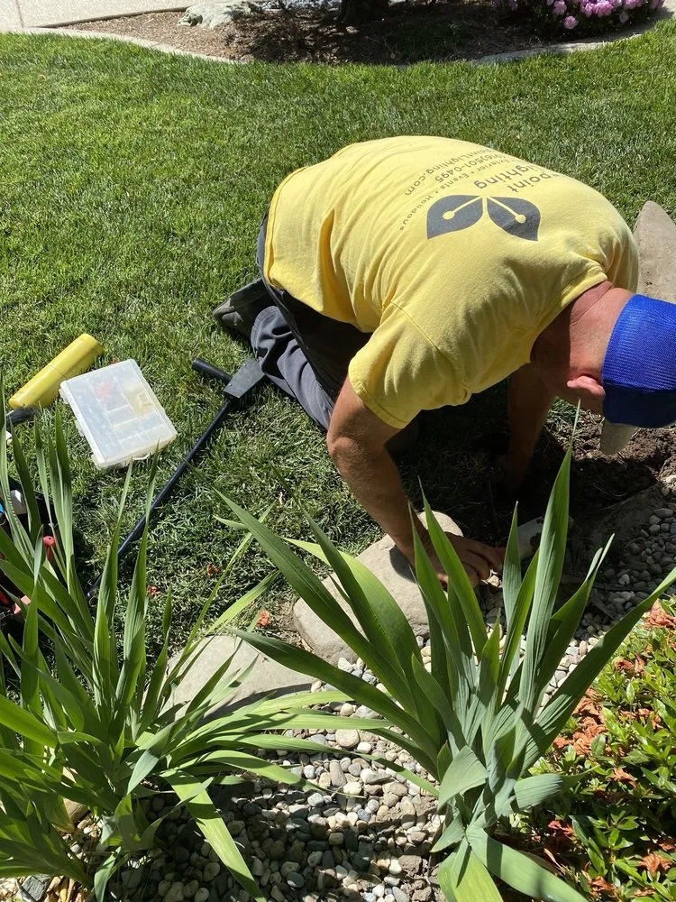 Reliable yard maintenance in Sacramento, CA by Viewpoint Lighting