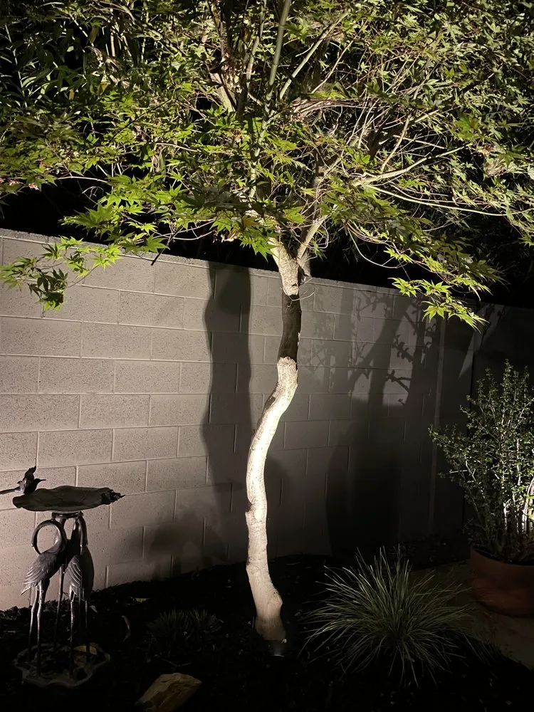 Local garden landscaping for outdoor upgrades in Sacramento, CA by Viewpoint Lighting