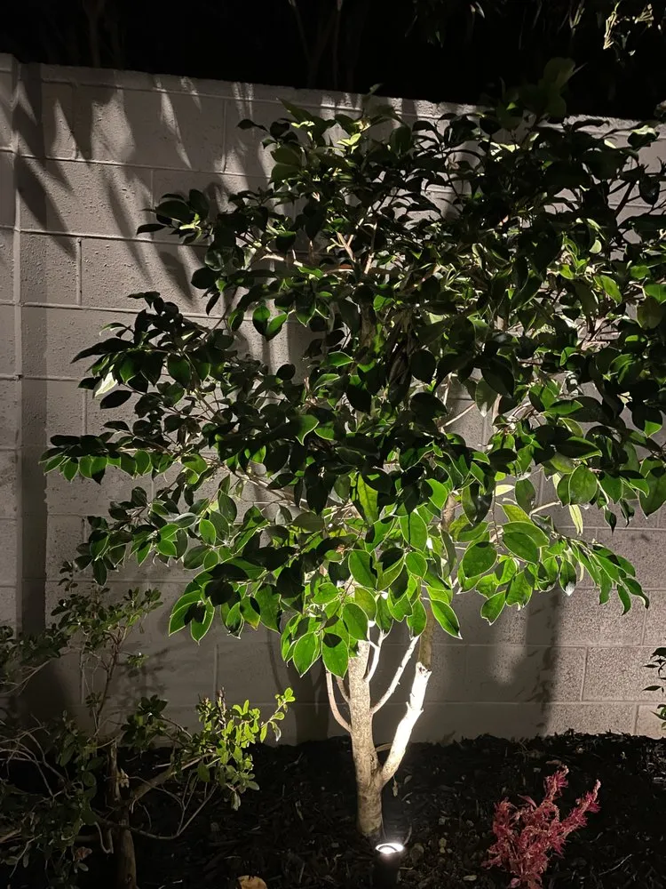 Local landscape design experts serving Sacramento, CA - Viewpoint Lighting