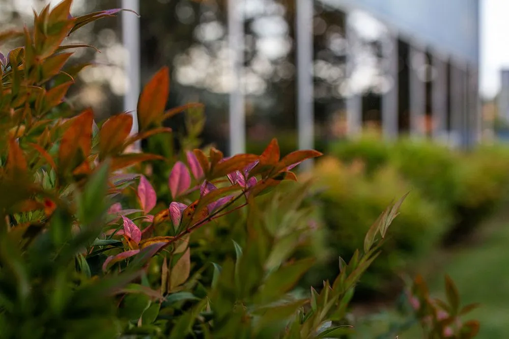 Expert outdoor landscaping experts serving Tigard, OR - Viewpoints Landscaping