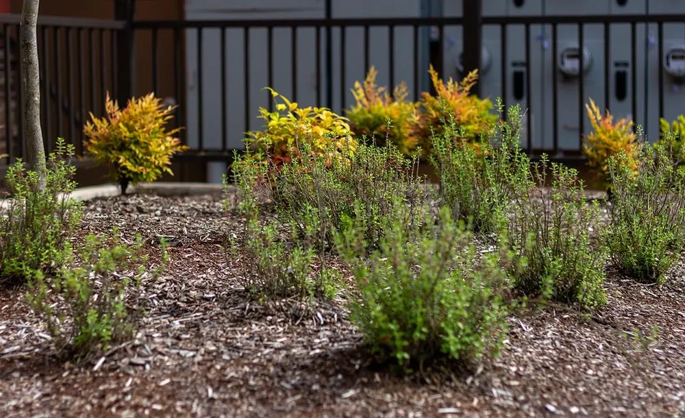 Custom garden landscaping for year-round maintenance in Tigard, OR by Viewpoints Landscaping