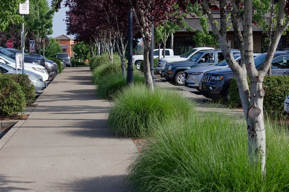 Reliable lawn care service in Tigard, OR by Viewpoints Landscaping