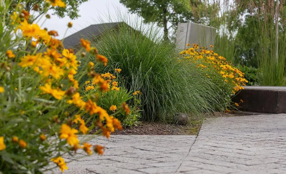 Top-rated landscape installation for year-round maintenance in Tigard, OR by Viewpoints Landscaping