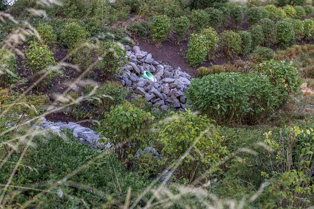 Affordable lawn mowing service in Tigard, OR by Viewpoints Landscaping