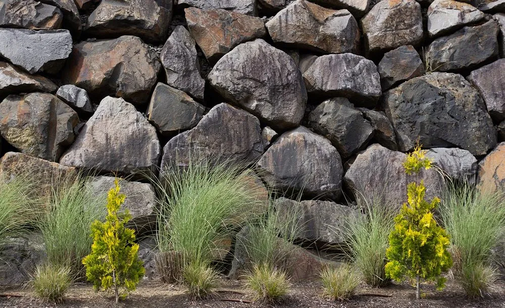 Affordable residential landscaping in Tigard, OR - Viewpoints Landscaping