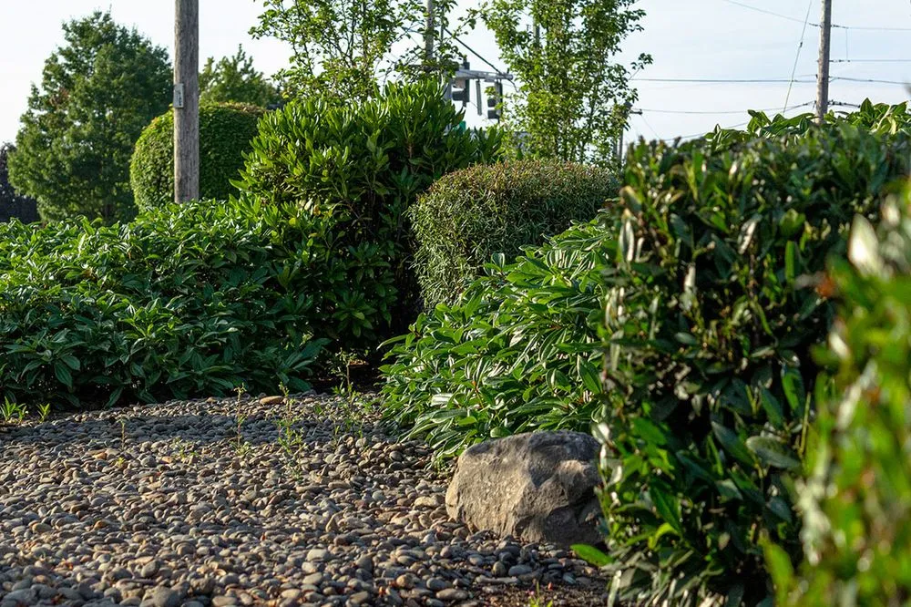Professional landscaping services in Tigard, OR - Viewpoints Landscaping