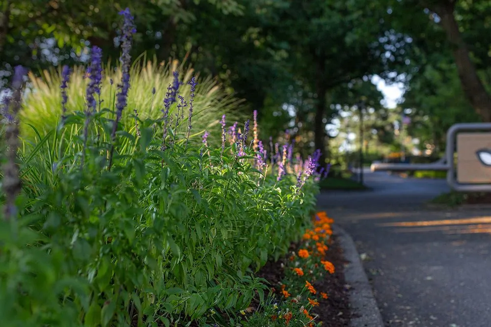 Professional garden landscaping in Tigard, OR by Viewpoints Landscaping
