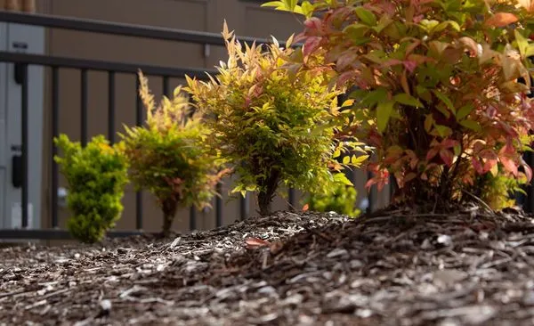 Viewpoints Landscaping Logo