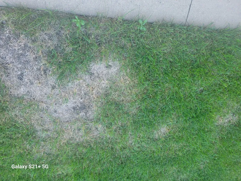 Trusted yard cleanup service in West Fargo, ND by Vigens Lawn Services