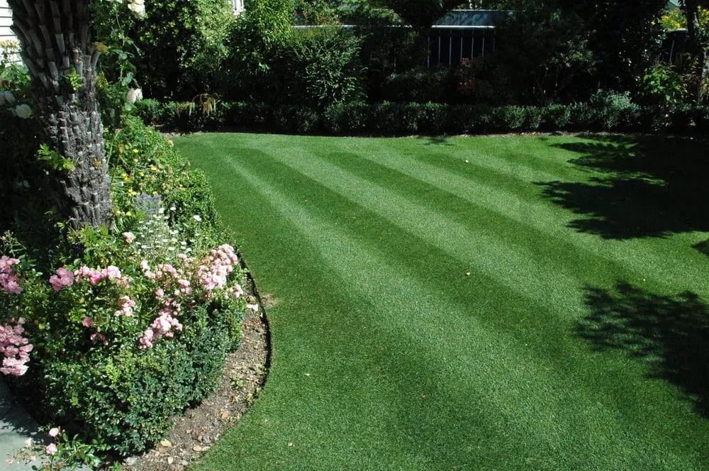 Expert landscape design experts serving West Fargo, ND - Vigens Lawn Services
