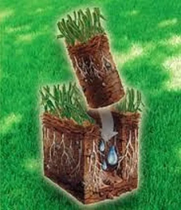 Professional lawn care service experts serving West Fargo, ND - Vigens Lawn Services