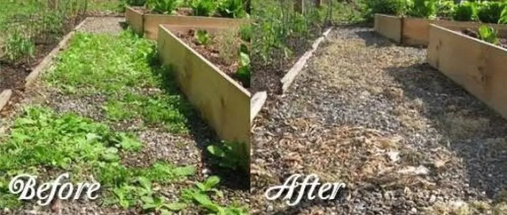 Top-rated lawn care service for year-round maintenance across West Fargo, ND - Vigens Lawn Services